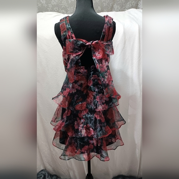 NWT Lulu's Poised Inspiration Multi Floral Organza Tiered Mini Dress Size Small - Picture 6 of 9
